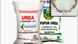 The definition of urea fertilizer is: characteristics, benefits and dosage for rice