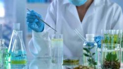 The Role of Biotechnology in Animal Husbandry and Agriculture