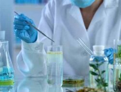 History of Biotechnology to Modern Times